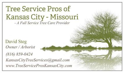Tree Service Pros Kansas City, MO
